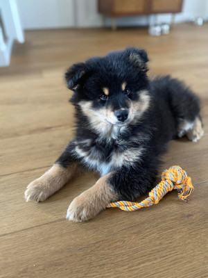 Kahru